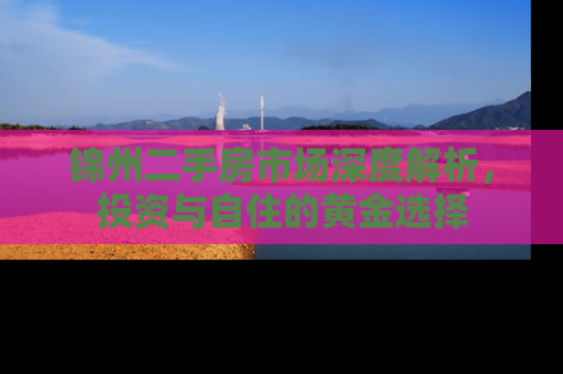 锦州二手房市场深度解析，投资与自住的黄金选择