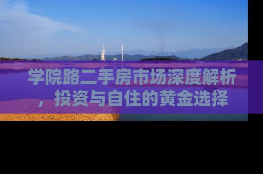 学院路二手房市场深度解析，投资与自住的黄金选择