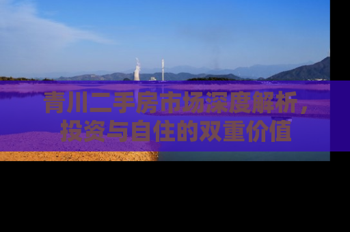 青川二手房市场深度解析，投资与自住的双重价值