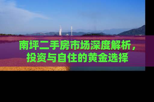 南坪二手房市场深度解析，投资与自住的黄金选择