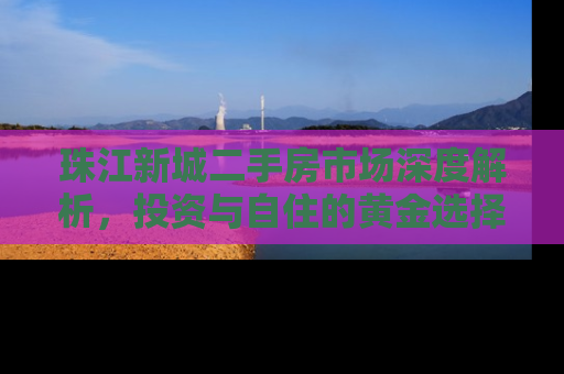 珠江新城二手房市场深度解析，投资与自住的黄金选择