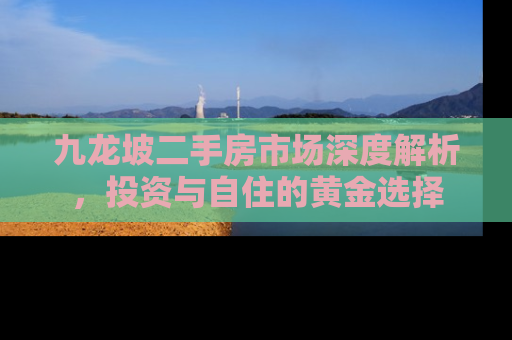 九龙坡二手房市场深度解析，投资与自住的黄金选择