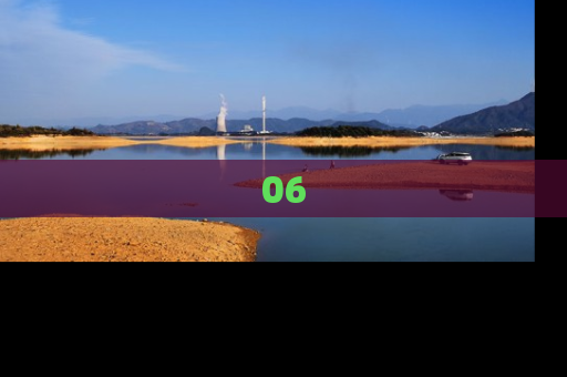 06