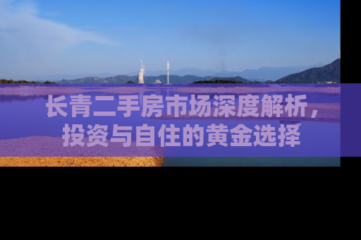 长青二手房市场深度解析，投资与自住的黄金选择