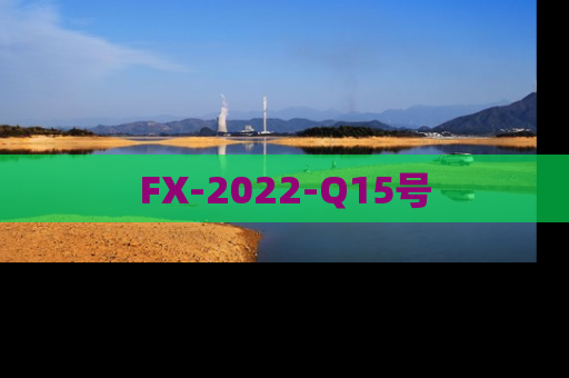 FX-2022-Q15号