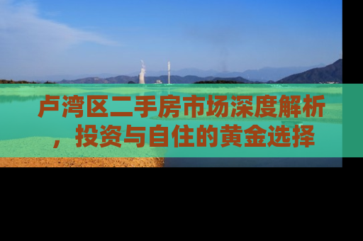 卢湾区二手房市场深度解析，投资与自住的黄金选择