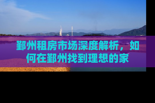 鄞州租房市场深度解析，如何在鄞州找到理想的家