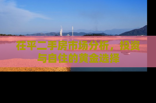 茌平二手房市场分析，投资与自住的黄金选择