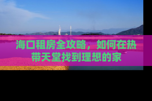 海口租房全攻略，如何在热带天堂找到理想的家