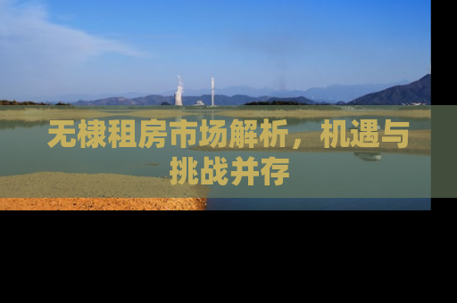 无棣租房市场解析，机遇与挑战并存