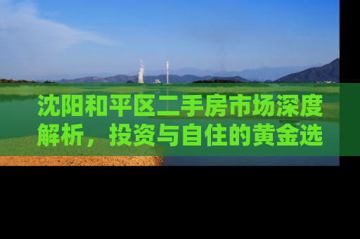 沈阳和平区二手房市场深度解析，投资与自住的黄金选择