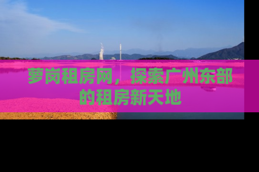 萝岗租房网，探索广州东部的租房新天地