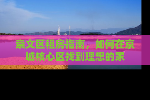 崇文区租房指南，如何在京城核心区找到理想的家