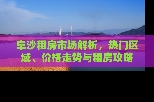 阜沙租房市场解析，热门区域、价格走势与租房攻略