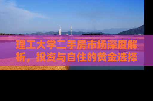 理工大学二手房市场深度解析，投资与自住的黄金选择