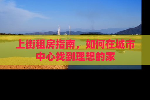 上街租房指南，如何在城市中心找到理想的家