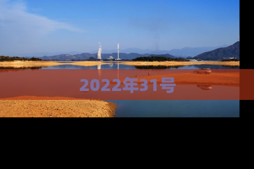 2022年31号