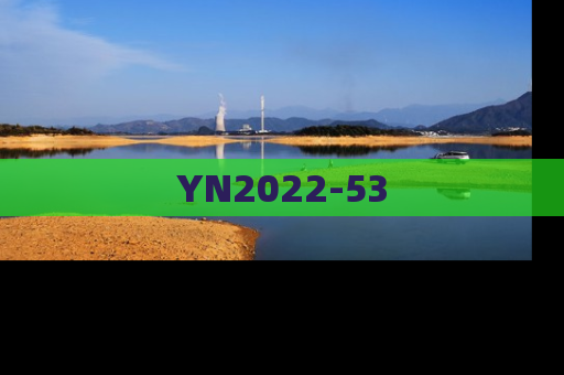 YN2022-53