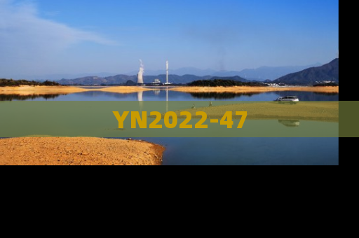 YN2022-47