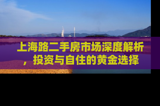 上海路二手房市场深度解析，投资与自住的黄金选择