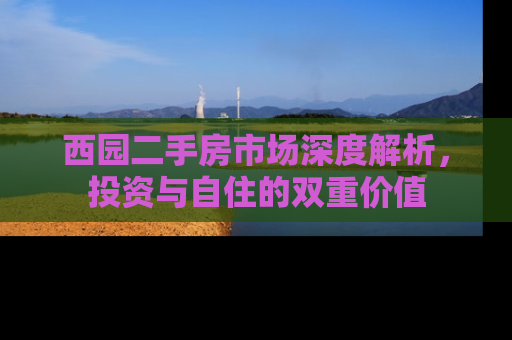 西园二手房市场深度解析，投资与自住的双重价值