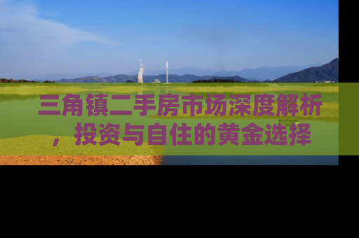 三角镇二手房市场深度解析，投资与自住的黄金选择