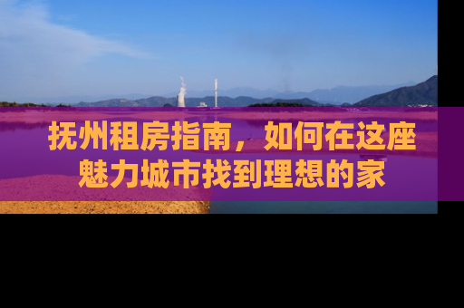 抚州租房指南，如何在这座魅力城市找到理想的家