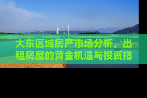 大东区域房产市场分析，出租房屋的黄金机遇与投资指南