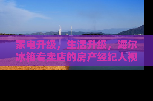 家电升级，生活升级，海尔冰箱专卖店的房产经纪人视角
