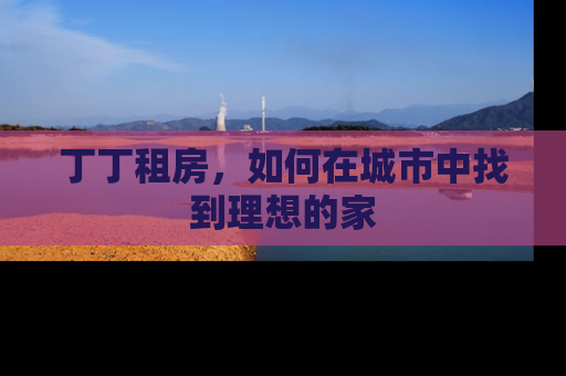 丁丁租房，如何在城市中找到理想的家