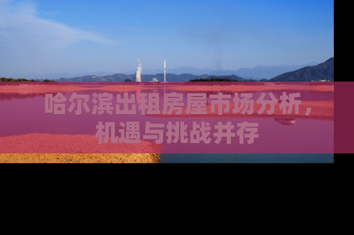 哈尔滨出租房屋市场分析，机遇与挑战并存