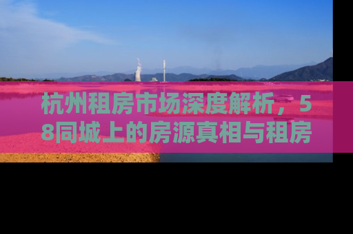 杭州租房市场深度解析，58同城上的房源真相与租房攻略