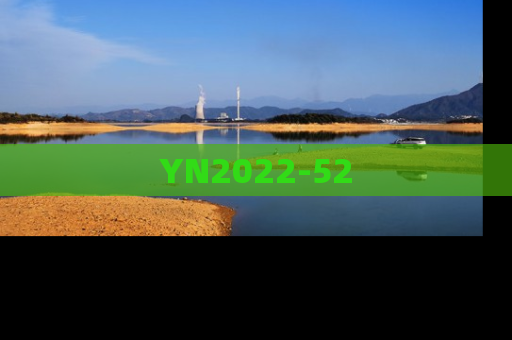 YN2022-52