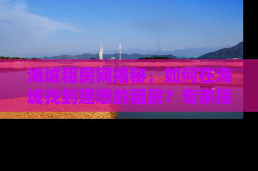 海城租房网揭秘，如何在海城找到理想的租房？专家指南助你轻松安家！