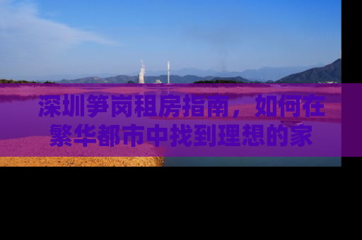 深圳笋岗租房指南,如何在繁华都市中找到理想的家 深圳笋岗租房指南,如何在繁华都市中找到理想的家