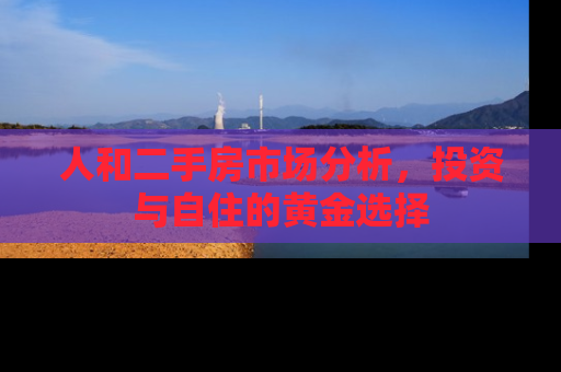 人和二手房市场分析，投资与自住的黄金选择