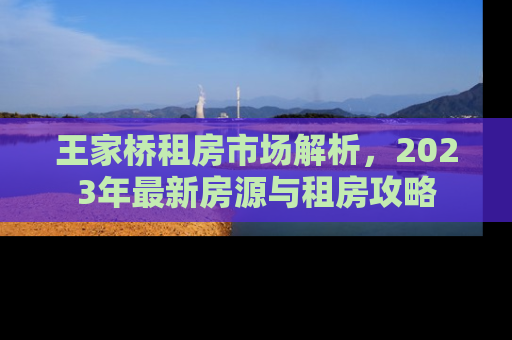 王家桥租房市场解析，2023年最新房源与租房攻略