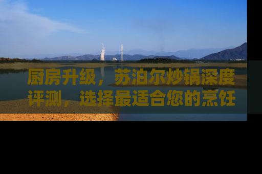 厨房升级，苏泊尔炒锅深度评测，选择最适合您的烹饪伙伴