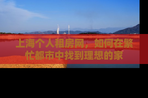 上海个人租房网，如何在繁忙都市中找到理想的家