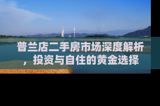 普兰店二手房市场深度解析，投资与自住的黄金选择