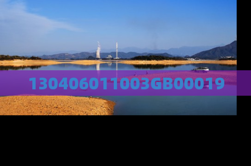 130406011003GB00019