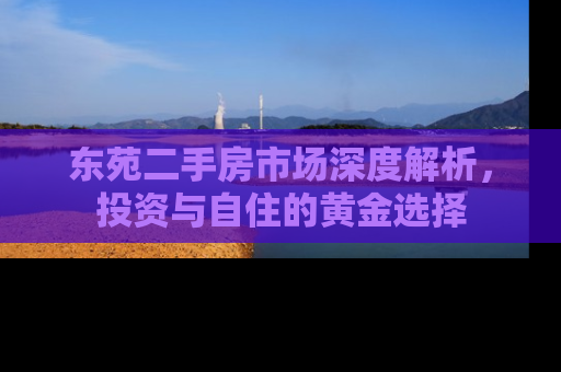 东苑二手房市场深度解析，投资与自住的黄金选择