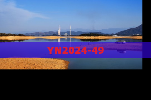YN2024-49