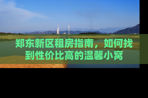 郑东新区租房指南，如何找到性价比高的温馨小窝