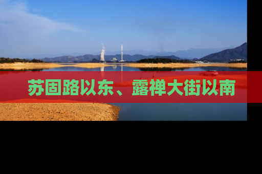 苏固路以东、露禅大街以南
