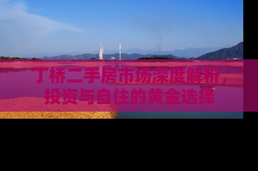 丁桥二手房市场深度解析，投资与自住的黄金选择