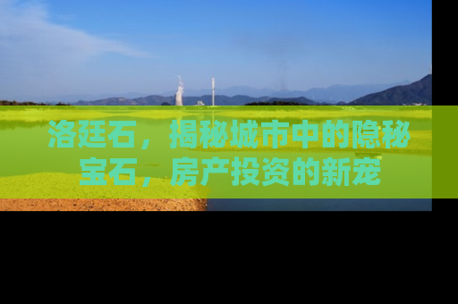 洛廷石，揭秘城市中的隐秘宝石，房产投资的新宠