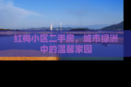 红梅小区二手房，城市绿洲中的温馨家园