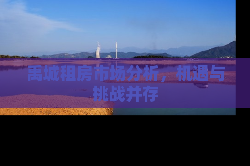 禹城租房市场分析，机遇与挑战并存