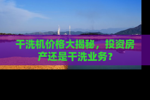 干洗机价格大揭秘,投资房产还是干洗业务? 干洗机价格大揭秘,投资房产还是干洗业务?